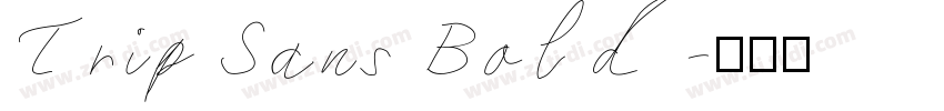 Trip Sans Bold字体转换